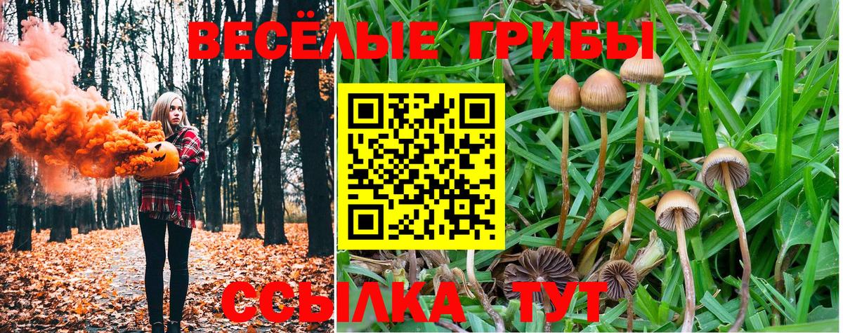 Псилоцибиновые грибы Cubensis Сердобск