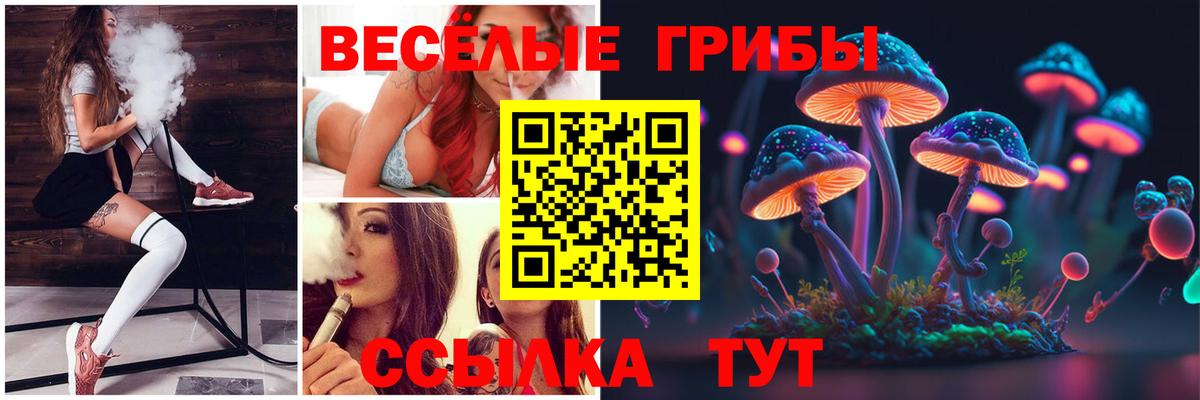 Галлюциногенные грибы прущие грибы  Псилоцибиновые грибы GOLDEN TEACHER  Сердобск  Вход с VPN 