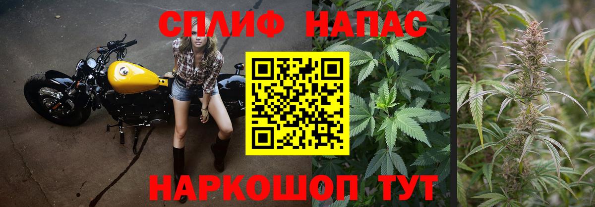 Марихуана MAZAR  Вход с VPN  Сердобск  Марихуана планчик  Конопля марихуана 